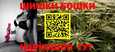 индика Беслан