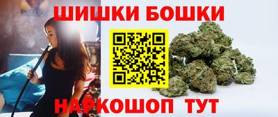 индика Беслан