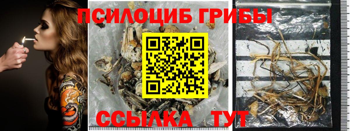 Галлюциногенные грибы прущие грибы Зима