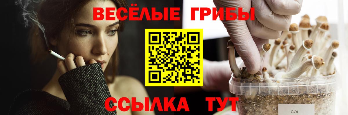 Псилоцибиновые грибы Magic Shrooms  Вход с VPN  Зима 